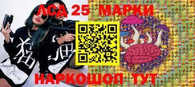 jwh Краснодар