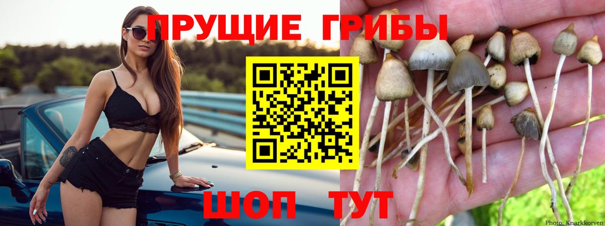 Галлюциногенные грибы MAGIC MUSHROOMS Клинцы